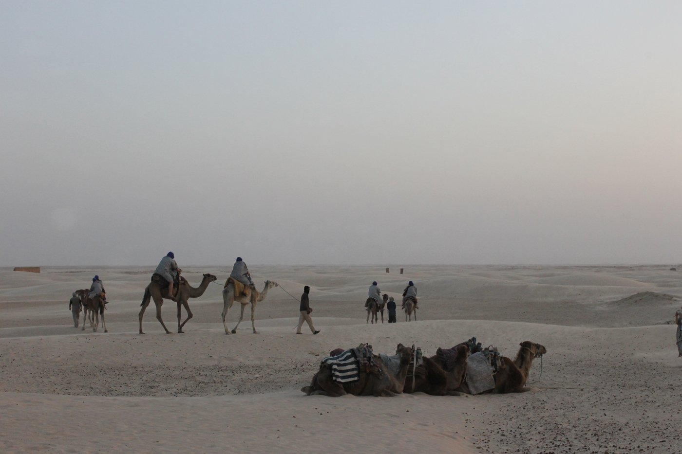 караван верблюдов в пустыне